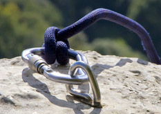 Firmen aus der Branche Versicherung suchen